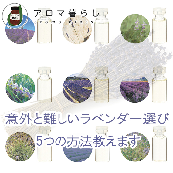 アロマ暮らし　ラベンダー　選び方　精油
